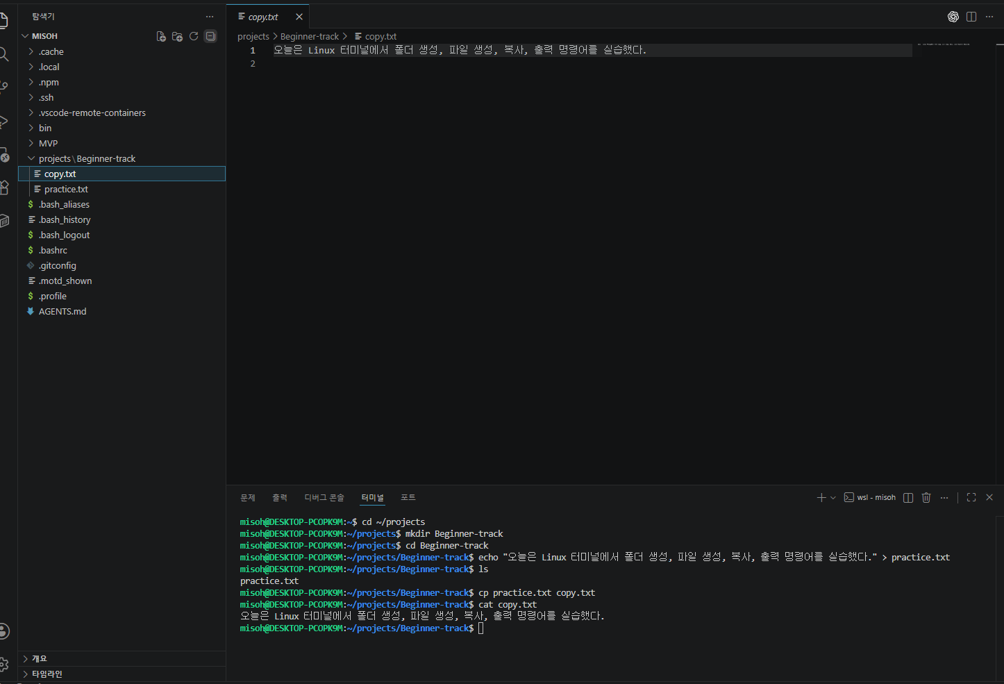 VS Code와 WSL 터미널에서 Beginner-track 폴더, practice.txt, copy.txt를 만든 실습 화면